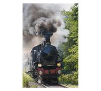 Puzzles 75x50cm/1000pcs Vintage Steam Train in Nature Casse-tête pour Adultes, Jeu De Réflexion, pour S'amuser en Famille, Cadeaux d'anniversaire Et De Noël Uniques 75x50cm/1000pcs