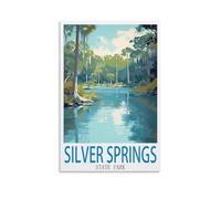 Puzzles à scie Puzzle 200 pièces pour Adultes Puzzles Puzzle pour Adultes Puzzle en Papier du Parc d’État de Silver Springs 200 pièces Jeu de décompression pour Adultes 35x25cm