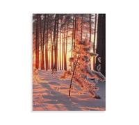 Puzzles Adultes 1000 Pièces Puzzle，Chaleureux Rayons de Soleil, lumière et Ombre dans la forêt hivernale Froide.，Jouet De Puzzle De Défi De Cerveau pour des Enfants, Jeux Parent-Enfan（75x50cm）-AP13