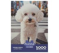 Puzzles Adultes 1000 Pièces Puzzle Poodle Puzzles Papier Divertissement pour Les Amants Ou Les Amis Cadeau De Fête des Mères Pet Dog pour Adultes Et Enfants À Partir De 8 Ans 38x26cm/1000pcs