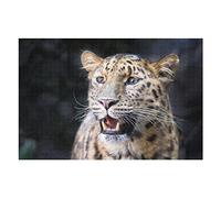 Puzzles Animaux pour Adultes, 1 000 pièces, imprimés léopard, pour Adultes, Adolescents, Enfants, Cadeaux Amusants, 38 x 52 cm