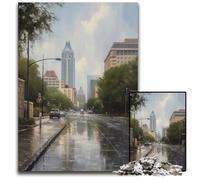 Puzzles Barton Springs Austin USA 1000 pièces pour Adultes Puzzles pour Adolescents et Famille Jeu de réflexion à Faire soimême Cadeau 1000 pièces (75x50cm)