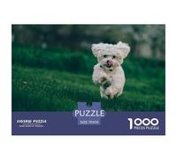 Puzzles Bichon Havanais et Bichon Frise, imperméable, 1000 pièces, Jeux stimulants et stimulants