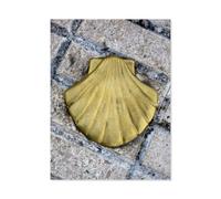 Puzzles，Camino Del Norte - Signalisation，en Papier Photo, Décoration De La Maison Moderne pour Salon Bureau-1000 Pièces（50x70cm）-AD66