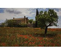 Puzzles Casse-tête pour Adultes 100 pièces, Magnifiques paysages naturels, Fleurs, Espagne, Monturi, Majorque 45,5x35,5CM