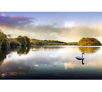 Puzzles Challenge 200 pièces pour Enfants et Adultes Paysage de cygnes sur Le lac Puzzle épais, Chaque pièce est Unique, Puzzle avec Lettres au Dos 35x25CM