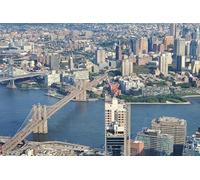 Puzzles d'animaux pour Adultes et Enfants - Puzzles en Bois Uniques, colorés et Amusants pour Toute la Famille - 2000 pièces - Ponts, rivières des États-Unis, Harlem - 100 x 70 cm