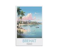 Puzzles de 1000 pièces, Affiches Brehat France Puzzles Puzzles 1000 pièces Jeux éducatifs Jouets Meilleurs Cadeaux pour Adultes et Enfants 70x50cm