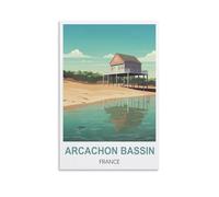 Puzzles de 1000 pièces,Bassin d'Arcachon France Puzzle éducatif de 1 000 pièces pour Adultes et Enfants. Jeux éducatifs et décoration d'intérieur. 52x38CM