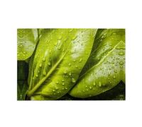 Puzzles de 1000 pièces BROLEO Deux Feuilles Légumes Impression Puzzles éducatifs intellectuels en bois Puzzles amusants Puzzles anti-stress