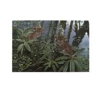 Puzzles de 1000 pièces BROLEO Deux Léopards Imprimés Puzzles éducatifs intellectuels en bois Puzzles amusants Puzzles anti-stress