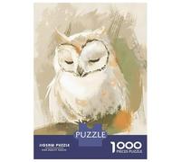 Puzzles De 1000 Pièces - Cute Sleeping Baby Owl Nursery Illustration Puzzle Casse-tête, Jeu De Réflexion, Décoration Murale, Idéal comme Cadeau pour Toute La Famille 38x26cm/1000pcs
