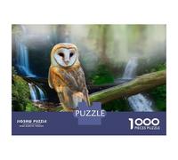 Puzzles De 1000 Pièces pour Adolescents Barn Owl by Waterfall Casse-têtes pour Adultes, Jeu De Réflexion, Difficile, Amusant, Activités À La Maison 38x26cm/1000pcs
