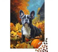 Puzzles De 1000 Pièces pour Adolescents Fall Pumpkin French Bulldog Puzzles pour Adolescents Jeux Relaxants pour S'amuser en Famille Offrez-Leur Un Cadeau 38x26cm/1000pcs