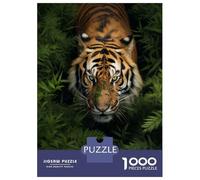 Puzzles De 1000 Pièces pour Adolescents Tiger Walking in Grass Puzzle À Monter Soi-même, Jouets pour S'amuser en Famille, Cadeau d'anniversaire Ou De Noël 38x26cm/1000pcs