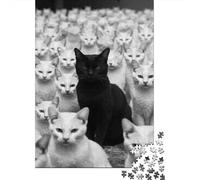 Puzzles De 1000 Pièces pour Adultes Black Cat Among White Cats Puzzles pour Adolescents Activités Familiales Défi Éducatif Jeu Stimulant Et Divertissement en Famille 52x38cm/1000pcs