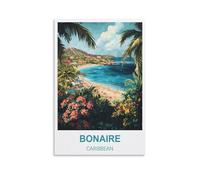 Puzzles de 1000 pièces pour Adultes, Bonaire Caraïbes, Puzzle de 1000 pièces à Peindre, Puzzle Stimulant à réaliser soi-même pour Adultes, 70 x 50 cm