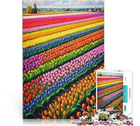 Puzzles de 1000 pièces pour Adultes Champs de Tulipes de Hollande Jeu éducatif Familial est idéal comme Cadeau pour Toute la Famille 38x26cm