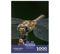 Puzzles De 1000 Pièces pour Adultes Dragonfly Close-Up on Twig Puzzle Anti-Stress, Jouet De Décoration Intérieure, Difficile Et Stimulant 38x26cm/1000pcs