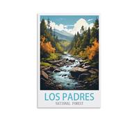 Puzzles de 1000 pièces pour Adultes - Forêt Nationale de Los Padres - Puzzles de 1000 pièces pour Adultes et Enfants - Puzzle Familial Classique d'intérieur - 38 x 52 cm