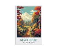 Puzzles de 1000 pièces pour Adultes,Parc National de New Forest Puzzle Durable pour Adolescents, Jeu Classique et Stimulant pour Le Cerveau 70x50CM