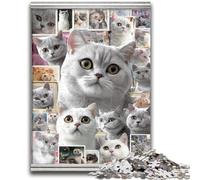 Puzzles de 1000 pièces pour Adultes représentant des Chats British Shorthair Amusants et Humoristiques, Ils sont accompagnés d'une Affiche et d'une fiche de Questions-réponses (38x26cm)