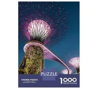Puzzles De 1000 Pièces pour Adultes Saint Thomas Aquinas OP Puzzles pour Adolescents Jeu Familial Améliore La Mémoire Difficile Et Stimulant 52x38cm/1000pcs