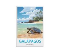 Puzzles de 1000 pièces, Puzzle Galapagos Équateur 1000 pièces, Cadeau Relaxant et Stimulant pour Adultes, Adolescents, Seniors 26x38cm