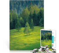 Puzzles de 2000 pièces pour Adultes Hautes Terres Réduction du Stress intéressante Décoration Murale, Cadeaux Uniques pour Anniversaire et Noël 70x100cm