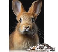 Puzzles de 500 pièces Paysage de rêveurs stellaires pour Adultes Puzzles Difficiles pour Adultes et Adolescents Jeux de Puzzle relaxants 500 pièces (52 x 38 cm)