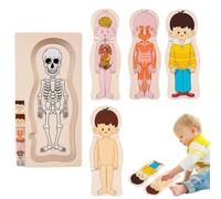 Puzzles de corps humain pour enfants, Puzzle de structure du corps humain | Puzzle éducatif du corps d'anatomie humaine,Puzzle interactif du corps humain, puzzle d'anatomie pour l'apprentissage des