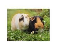 Puzzles De Jeu en Papier，Deux Mignons cobayes，Puzzle De Puzzle Classique 1000 Pièces, Jouets De Puzzle Drôles Et Décontractés d'image HD, Puzzle D'assemblage De Bricolage（50x70cm）-H46