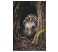 Puzzles De Sports De Animal Hedgehog 1000 Pièces pour Adultes Puzzles pour Adultes Puzzle 1000 Pièces Jeux ÉduChatifs (78×53cm)