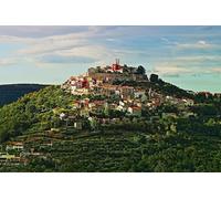 Puzzles Difficiles pour Adultes 300 pièces Vignoble Istrie Croatie 38x26CM
