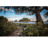 Puzzles Difficiles pour Adultes - Puzzle 1000 pièces - Puzzles stimulants, pour Tous Les âges, Arbre, Île 70 x 50 cm