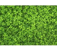 Puzzles Difficiles pour Adultes - Puzzle Impuzzibles Trèfle à Quatre Feuilles 1000 pièces - 66cm x 50cm - Puzzle sur Le thème Irlandais, Cadeau de la Saint-Patrick pour Tous Les âges.