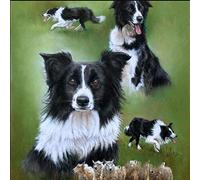 Puzzles DIY pour Adultes 1000 pièces Border Collie Mouton Aquarelle Mignon Chien Noir Animaux Image de Décoration de Chambre Cadeaux de Noël 70x50CM