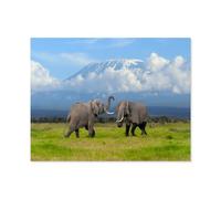 Puzzles，Éléphant Devant Le Kilimandjaro enneigé，Adultes Puzzle en Papier, Loisirs Divertissement Jeu Jouet-1000 Pièces（38x26cm）-P45