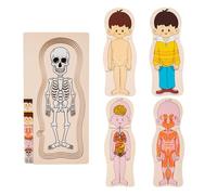 Puzzles en Bois avec des Parties humaines du Corps, Puzzles avec des Parties en bos Bois | Puzzle d'anatomie pédagogique | Puzzle interactif pour Le Corps Humain, apprenant Le puzzl de l'anatomie