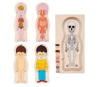 Puzzles en bois sur le corps humain, puzzle sur les parties du corps en bois - Puzzle éducatif d'anatomie et modèle de corps humain | Modèle de corps humain interactif et éducatif, reconnaissance d'or