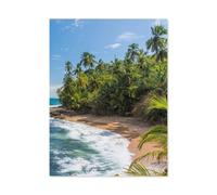 Puzzles en Papier 1000 Pièces，Plage des Caraïbes de Manzanillo près de Puerto Viejo, Costa Rica，Jouets Intellectuels De Puzzle Difficiles, Jouets De Bricolage Cadeaux pour Enfants（50x70cm）-P61