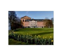 Puzzles Enfants Adultes 1000 Pièces，Palais électoral，Artisanat Cadeau Famille Puzzle Classique 3D Puzzle Jouet en Papier Cadeau Unique Décoration Intérieure（50x70cm）-AP77