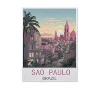 Puzzles for Adults Jigsaw Puzzles 1500 Pieces for Adults Kids，Sao Paulo Brazil，Artwork Intellective Educational Toys Gifts（57x87cm）-FM27