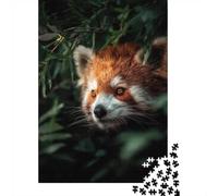 Puzzles Jigsaw 1000 Pièces Panda Rouge dans Les Feuilles-Wild Animal Nature Style Puzzles 38x26cm/1000pcs pour Adultes Et Enfants Cadeau Jeu D'Intelligence Pression Réduite DIY Carton