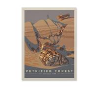 Puzzles，Petrified Forest National Park，Adultes Puzzle en Bois, Loisirs Divertissement Jeu Jouet-1000 Pièces（75x50cm）-HP43