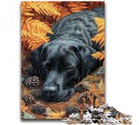 Puzzles pour Adolescents 1000 Labrador en Automne 1000 pièces pour Adolescents, Jeu Stimulant, idéal comme Cadeau pour Toute la Famille (26x38cm)