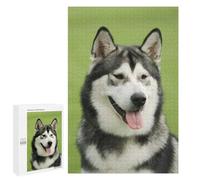 Puzzles pour Adolescents 1000 PCS Alaskan Malamute Casse-têtes pour Adultes Jeux De Détente Analyse Et Logique Activités Amusantes À La Maison, 1000 PCS