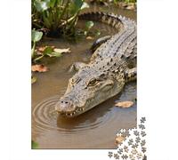 Puzzles pour Adolescents 1000 Pièces Amazon River Crocodile Puzzle pour Adolescents Course De Vitesse Manuelle Difficile Et Stimulant Jeu Amusant Et Stimulant pour Toute La Famille 70x50cm/1000pcs