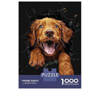 Puzzles pour Adolescents 1000 Pièces Chesapeake Bay Retriever Puzzles pour Adultes Assemblage De Modèles De Puzzles Stimulants Amusant en Famille Et Soirée Jeux 52x38cm/1000pcs
