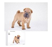 Puzzles pour adolescents 1000 pièces Chinese Shar Pei Puppy Puzzle Jeux relaxants Décoration de la maison Cadeaux et anniversaires uniques 1000 pièces